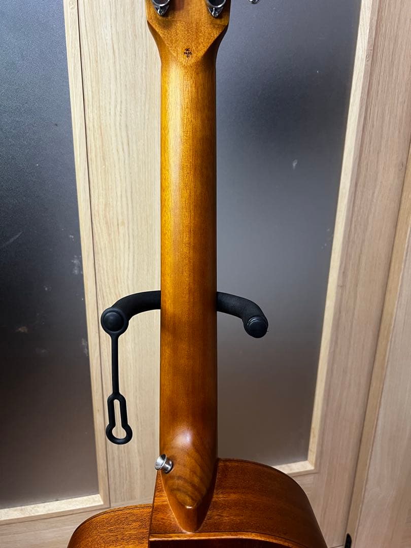 aNueNue Bird Guitar aNN-M10E エレアコ