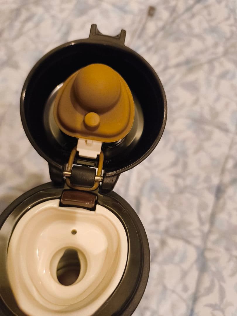 【レア品】大韓航空×スタバ　キーチェーンとスタバケータイマグ