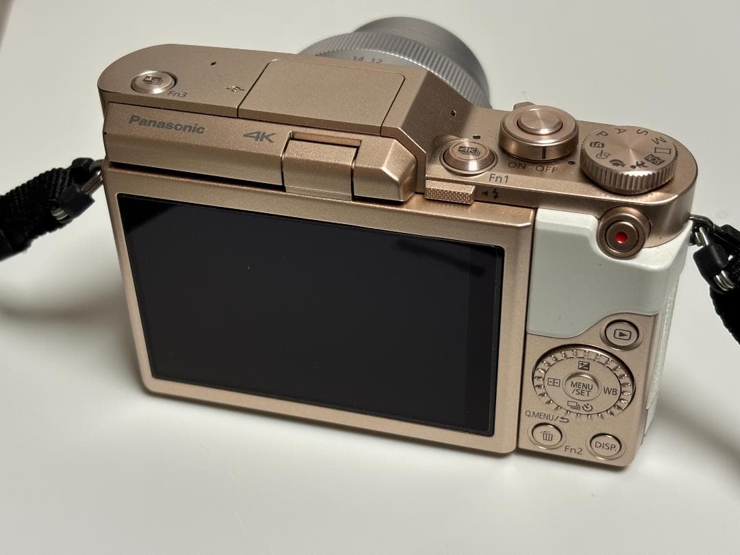 デジタルカメラ DC-GF90