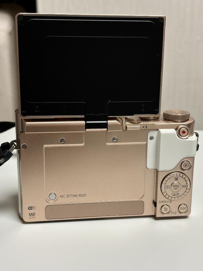 デジタルカメラ DC-GF90