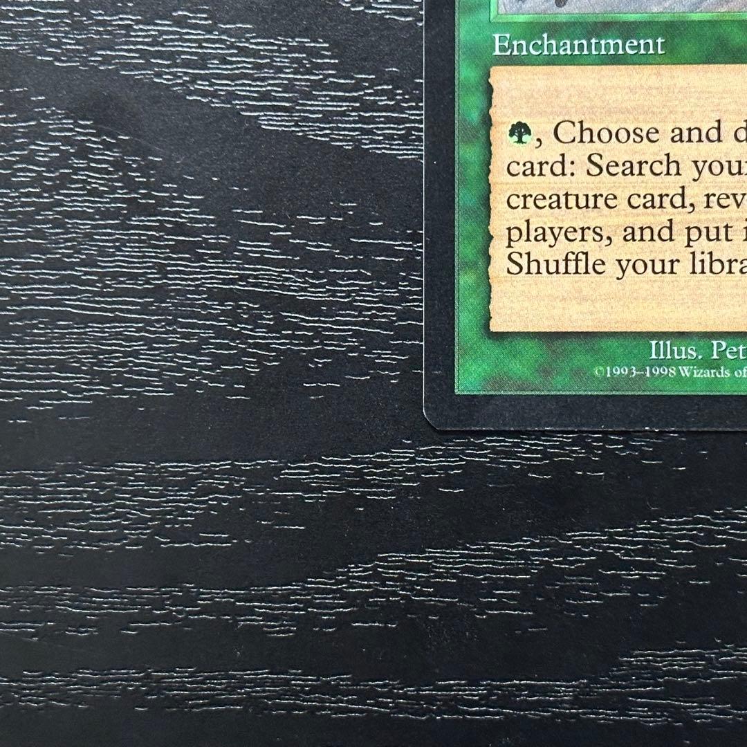 MTG 適者生存 英語