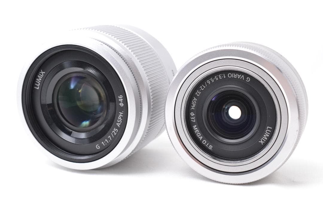 Panasonic LUMIX GF9 ミラーレス ダブルズームキット