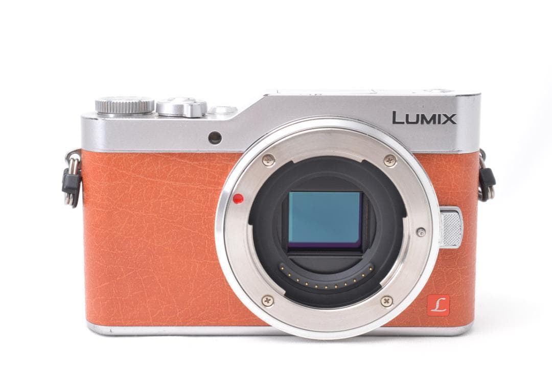 Panasonic LUMIX GF9 ミラーレス ダブルズームキット