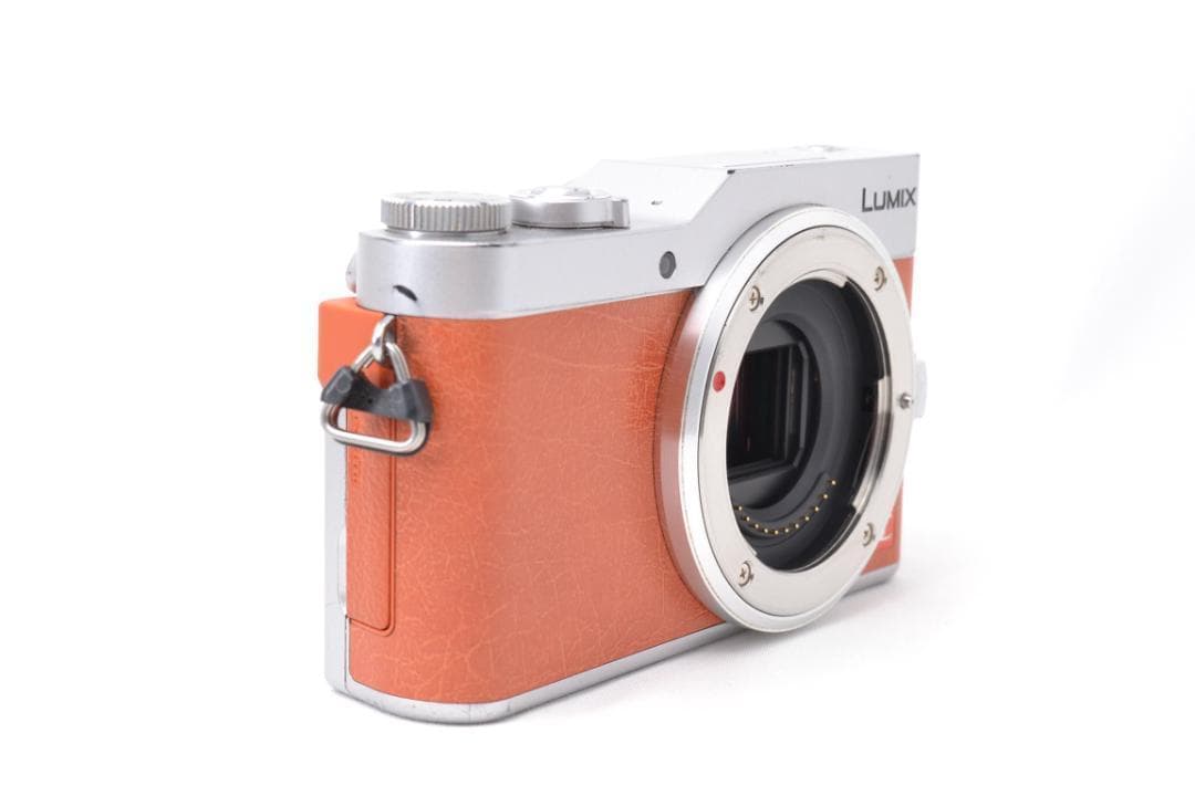 Panasonic LUMIX GF9 ミラーレス ダブルズームキット