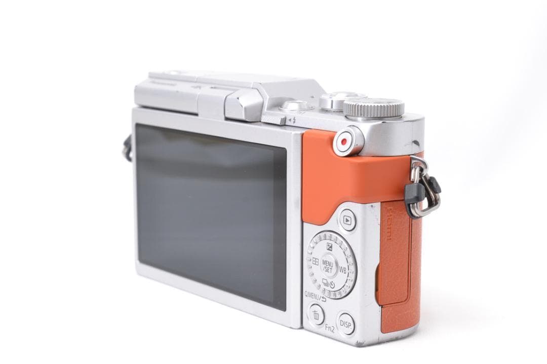 Panasonic LUMIX GF9 ミラーレス ダブルズームキット