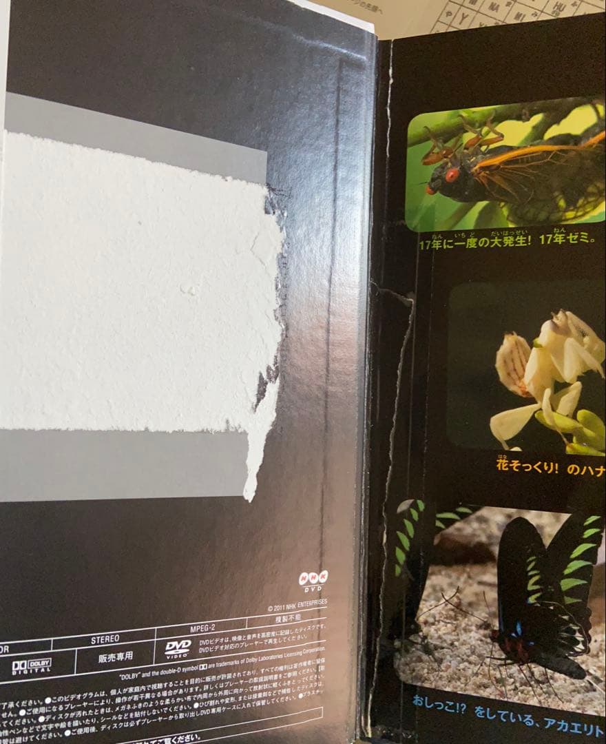小学校の図鑑NEO 、講談社の動く図鑑15冊セット DVD12枚付き