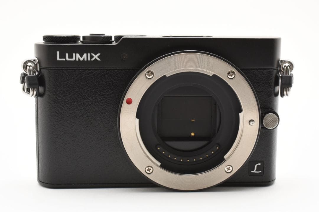 ショット数1841枚■美品■パナソニック LUMIX DMC-GM5
