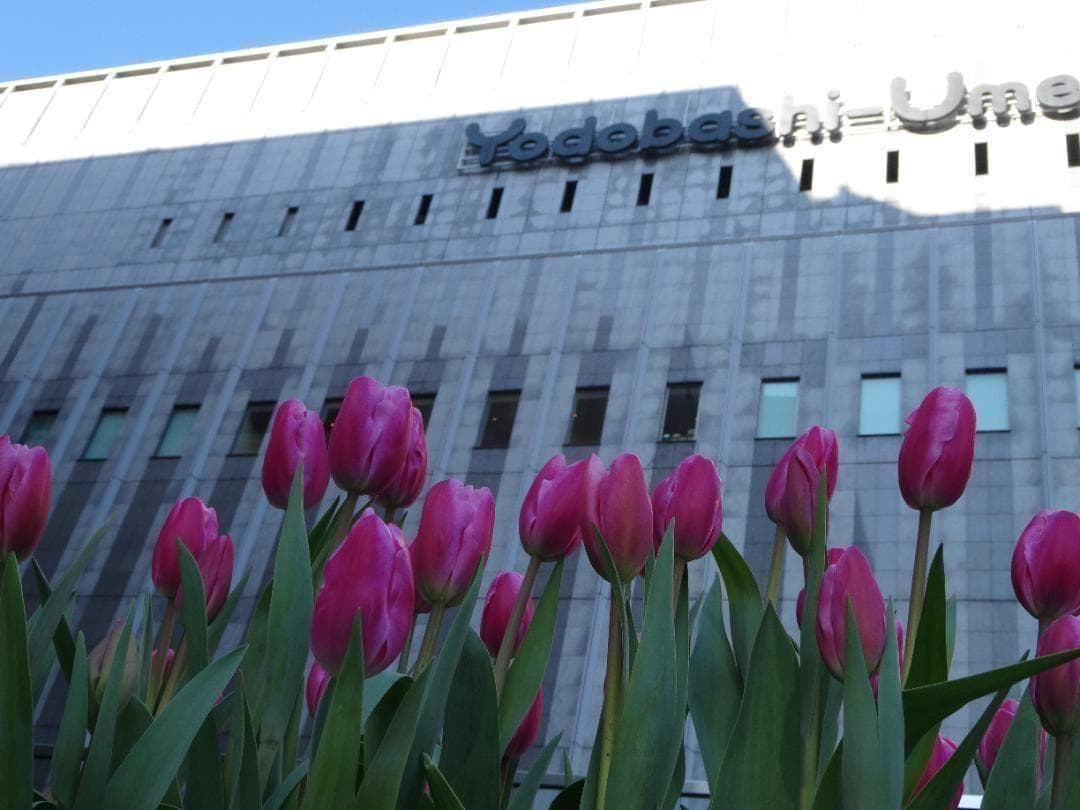 作例あり！Canon Power Shot SX620 HS ホワイト