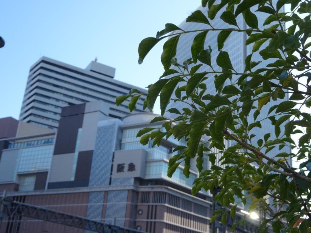 作例あり！Canon Power Shot SX620 HS ホワイト