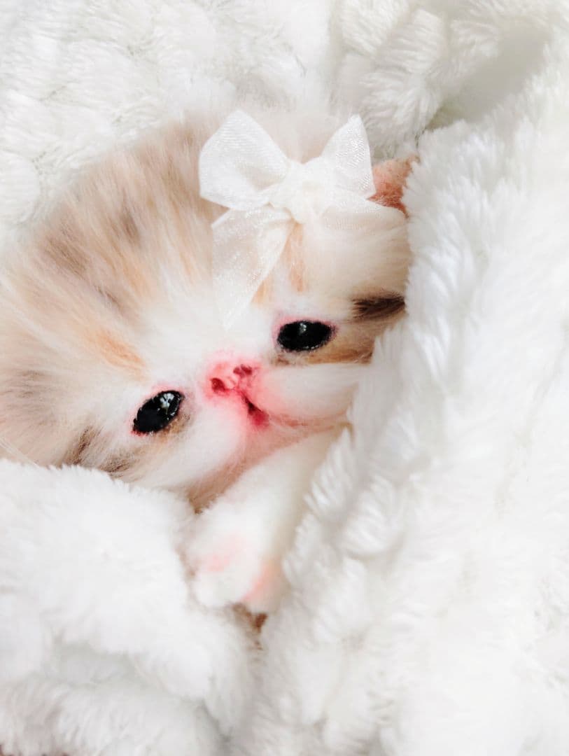 ベビー子猫♡お腹ぽっこりちゃん♡アートドール♡ぬいぐるみ♡