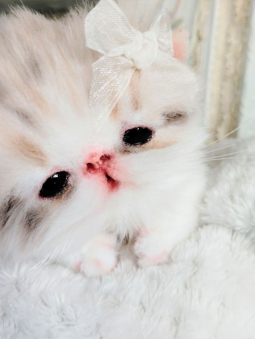 ベビー子猫♡お腹ぽっこりちゃん♡アートドール♡ぬいぐるみ♡