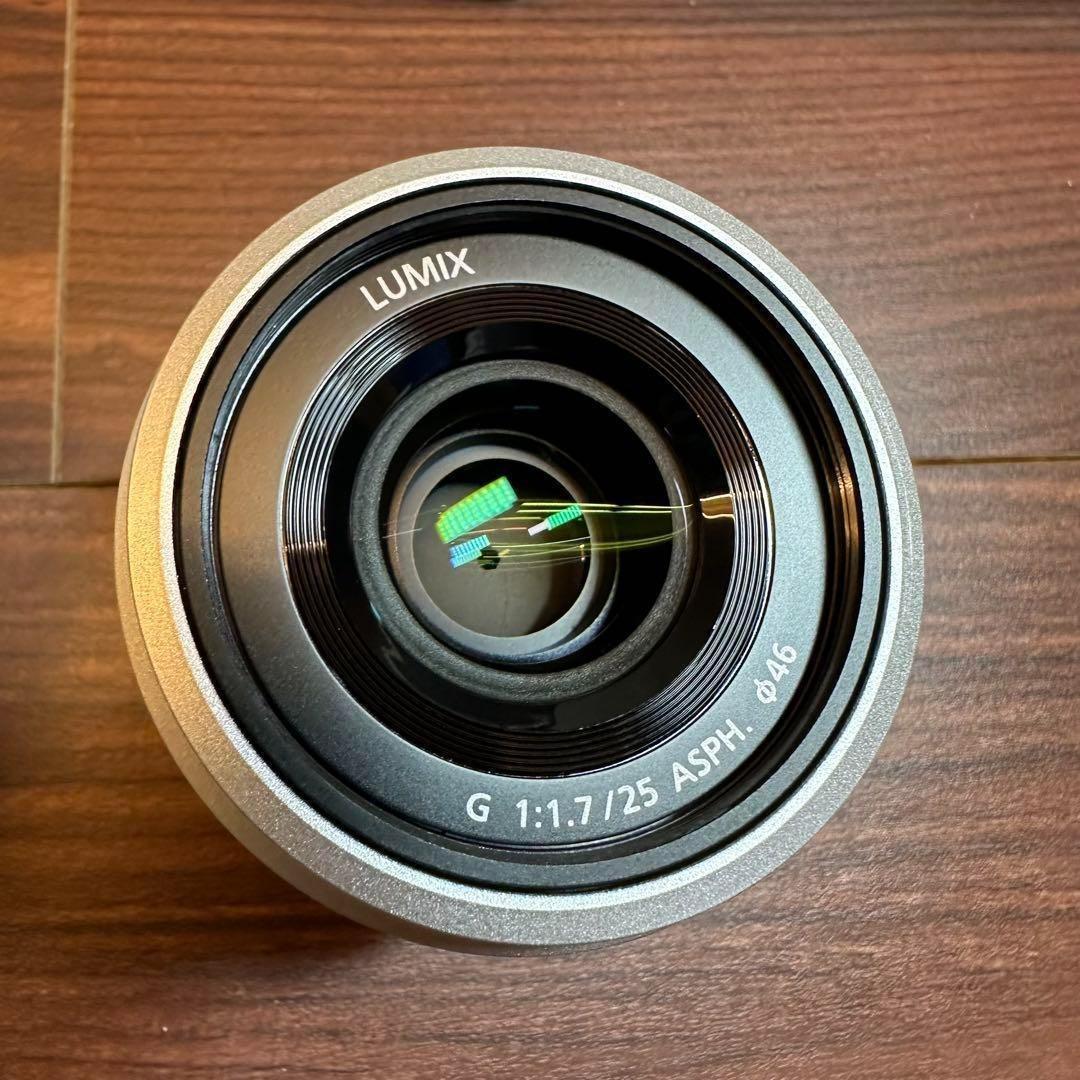 Panasonic DC-GF10W ミラーレス一眼 0307