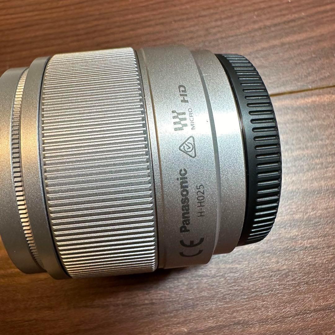 Panasonic DC-GF10W ミラーレス一眼 0307