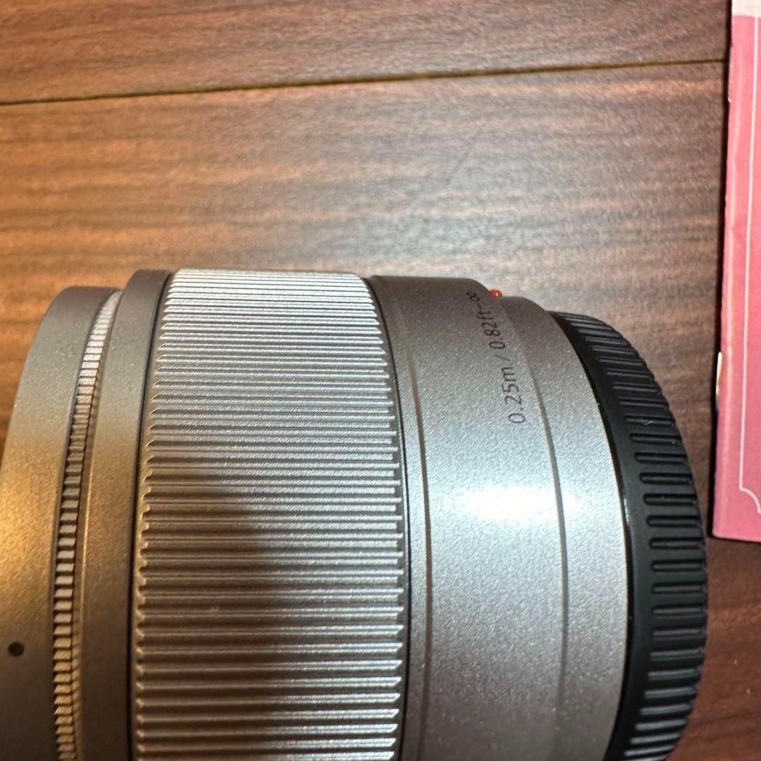 Panasonic DC-GF10W ミラーレス一眼 0307