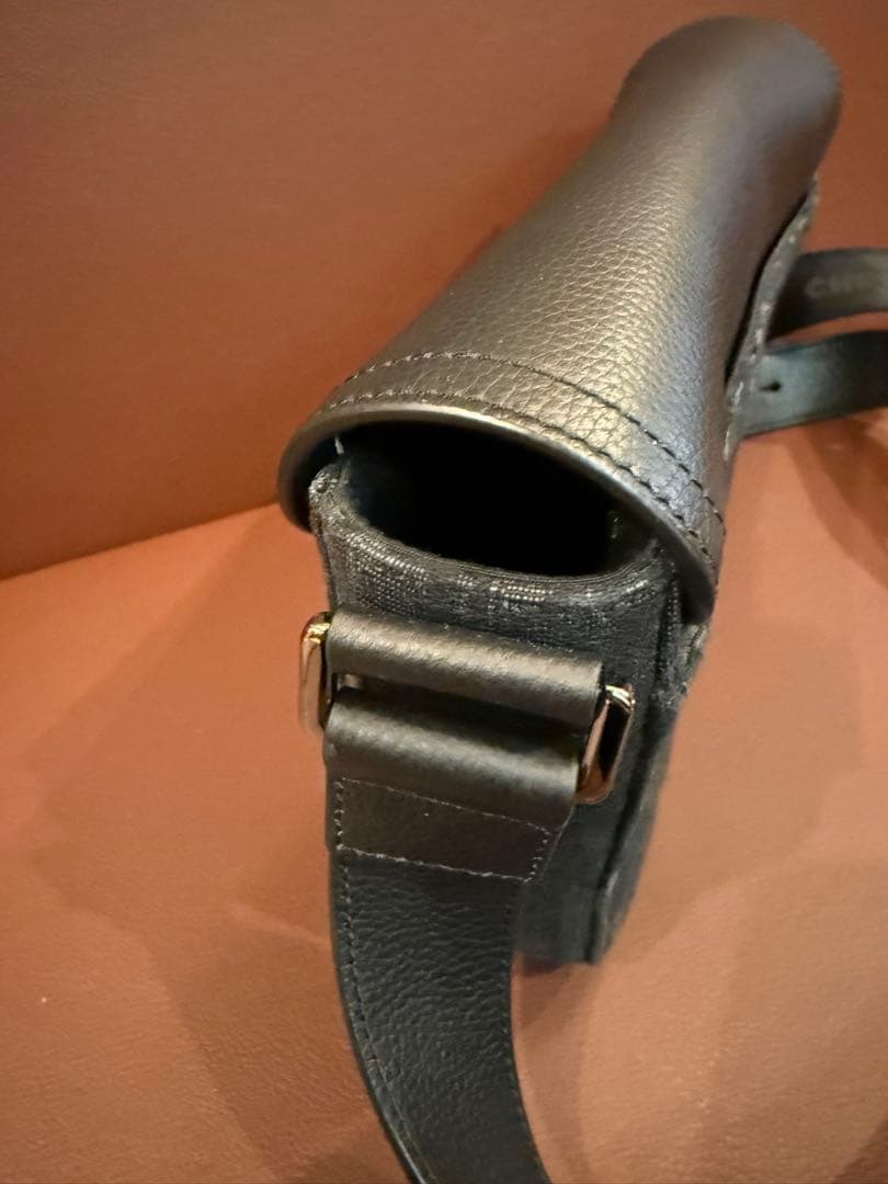 ディオール　ショルダーバッグ　オブリーク