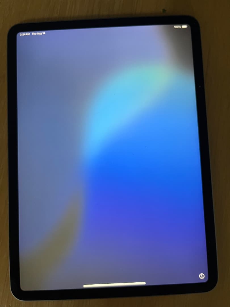 iPad Pro 11. 第一世代　256　wifiモデル