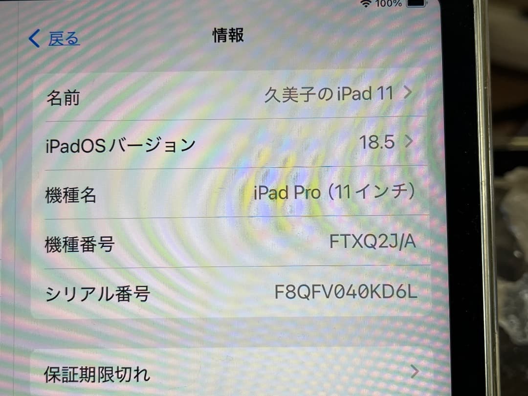 iPad Pro 11. 第一世代　256　wifiモデル