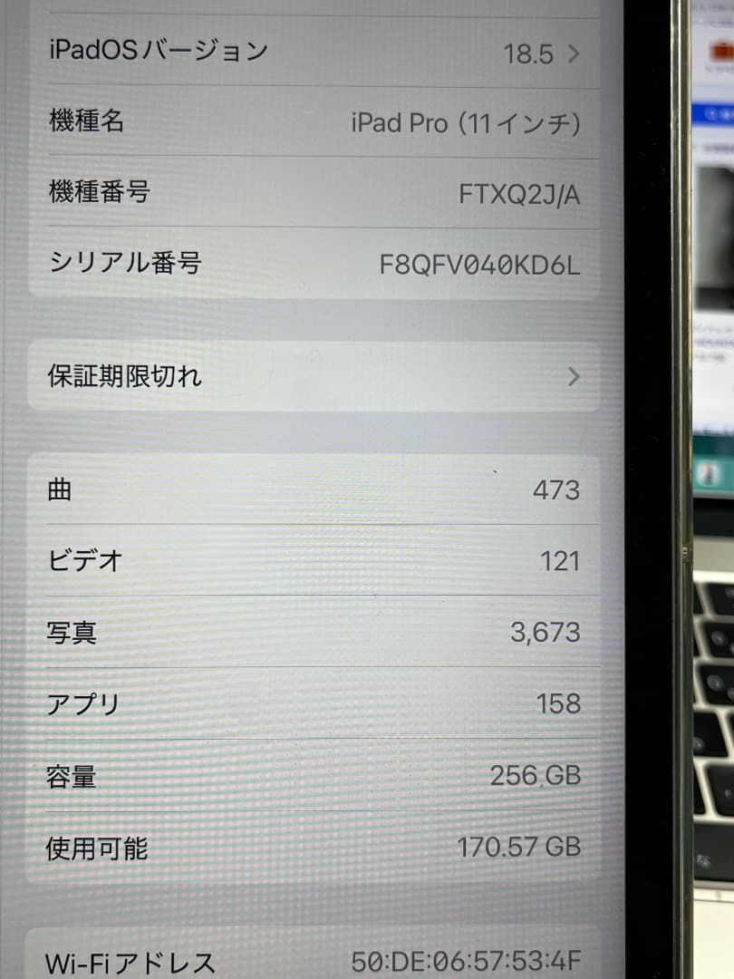 iPad Pro 11. 第一世代　256　wifiモデル