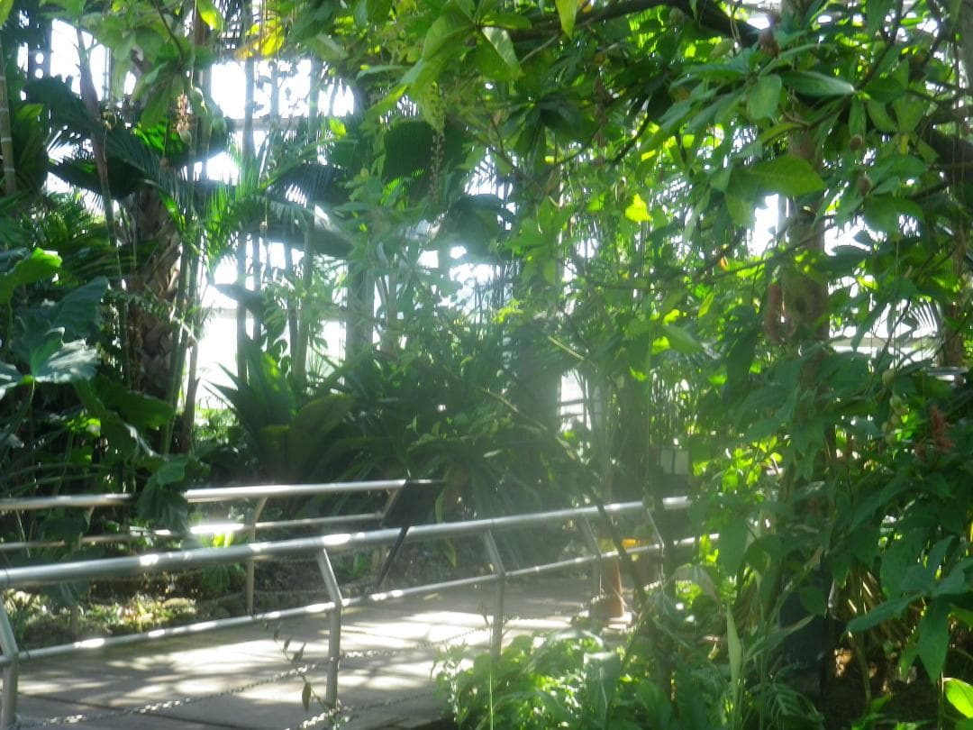 【可愛いすぎるコンデジ】PENTAX optio RZ10 ブラック