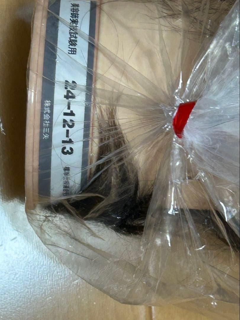 国家試験用 三矢 24-12-13 カットウィッグ4個セット