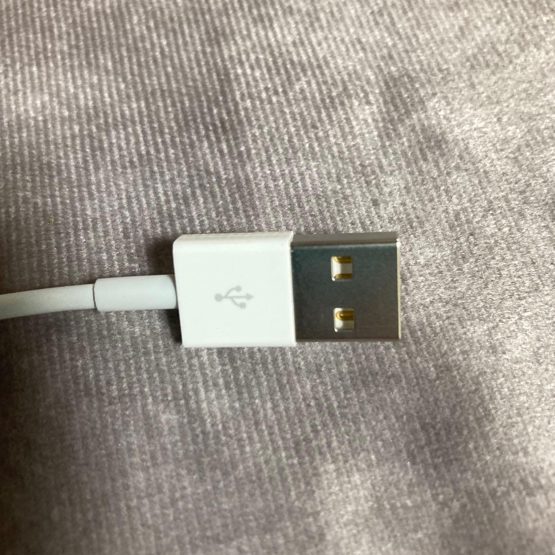 純正 Apple MagicKeyboard キーボード マウス ケーブル