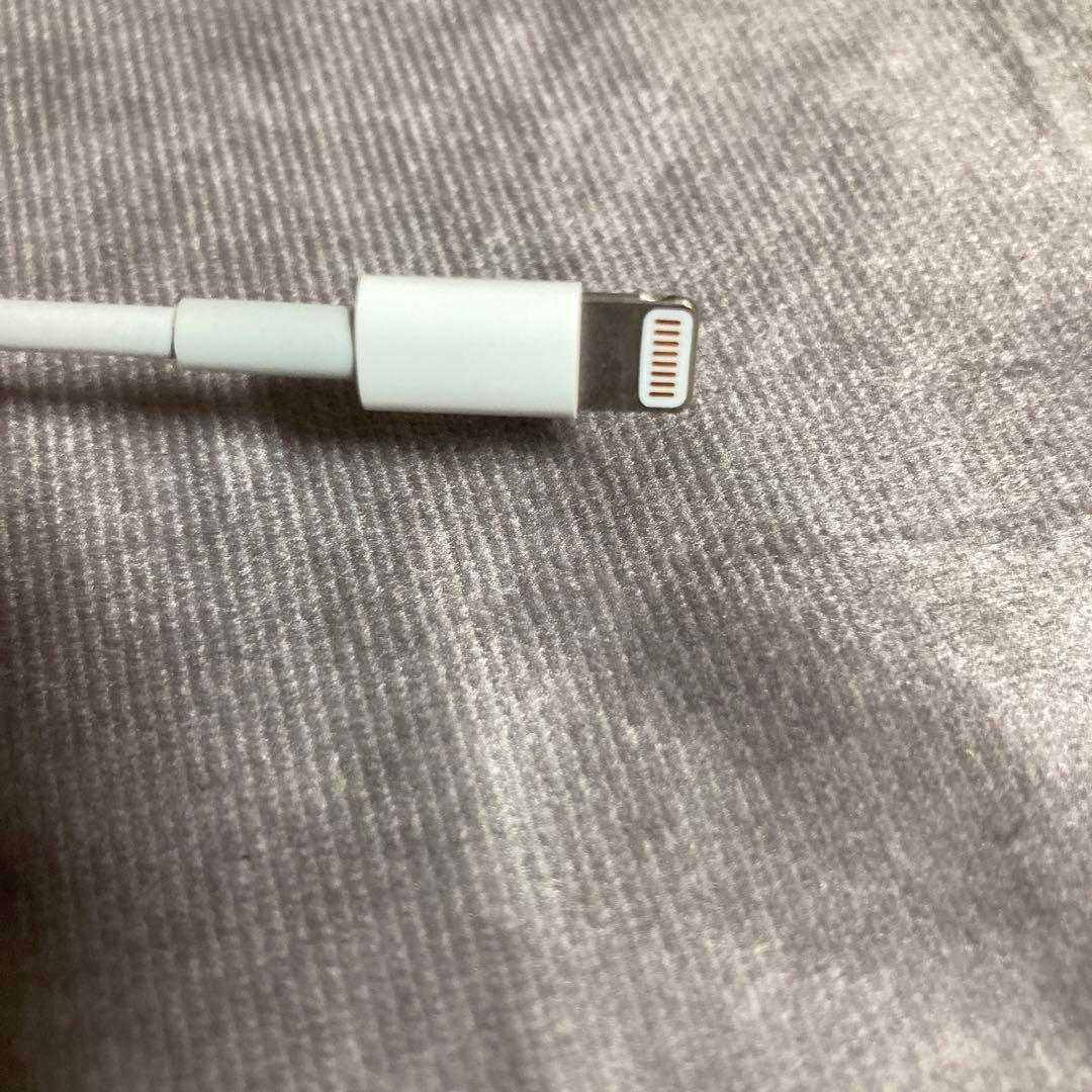 純正 Apple MagicKeyboard キーボード マウス ケーブル