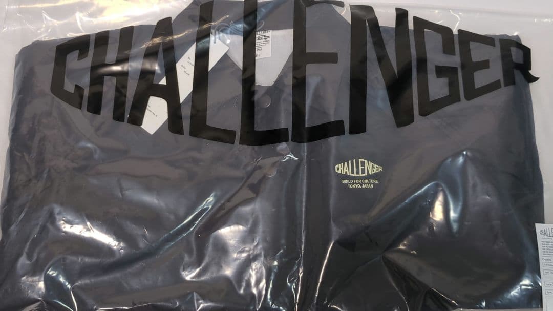 S SNAKE COACH JACKET CHALLENGER 長瀬智也