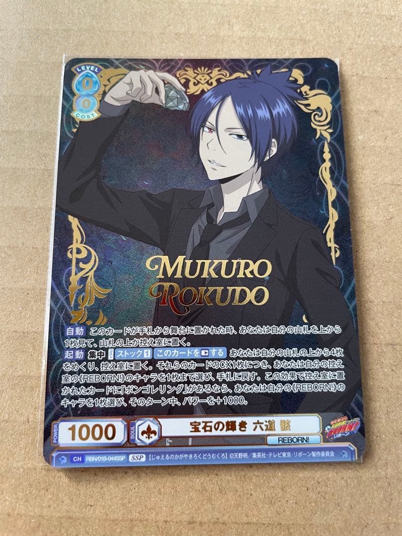 ヴァイスシュヴァルツブラウ　リボーン　六道骸　SSP