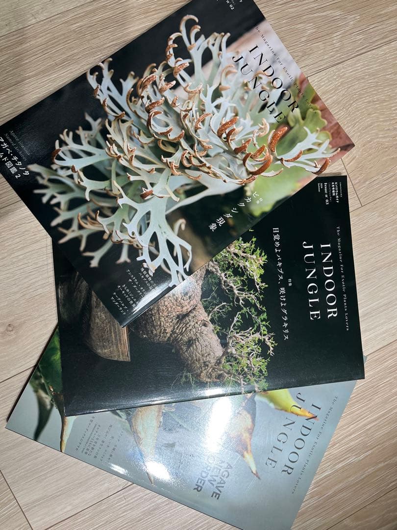 INDOOR JUNGLE 3冊セット