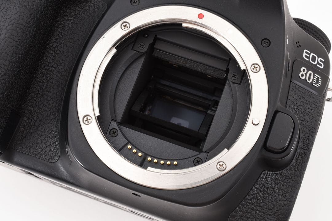 Wi-Fi/動画/保証/Canon EOS80D標準&望遠&単焦点レンズセット