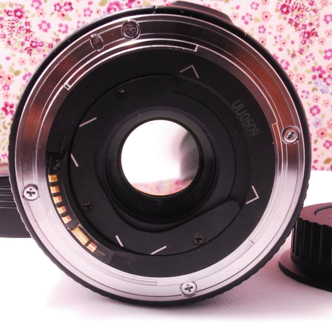 【極上品】Canon キャノン EF 14mm f/2.8 L USM 超広角
