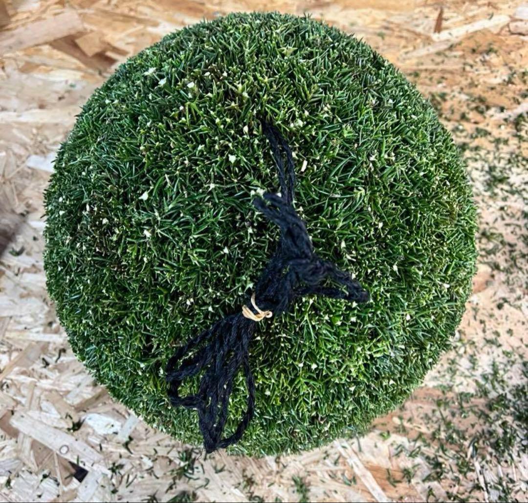 杉玉　約30㎝‼️縁起物　丸くて幸せ　家族円満♪