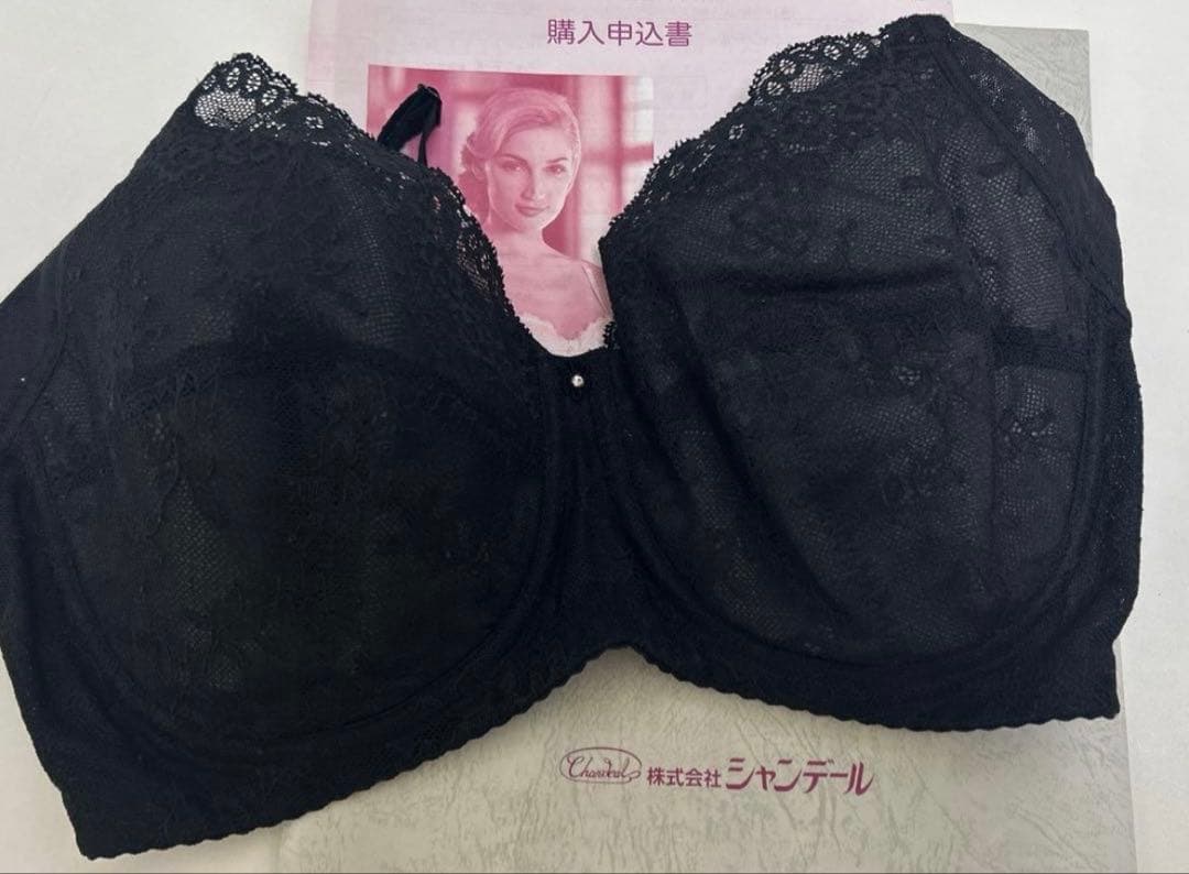 シャンデール　ブラジャーE85