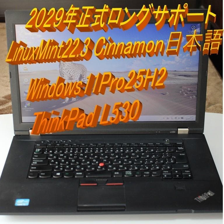 【完動品】ハイブリッドOS（Win11＆LinuxMint搭載）ノートPC