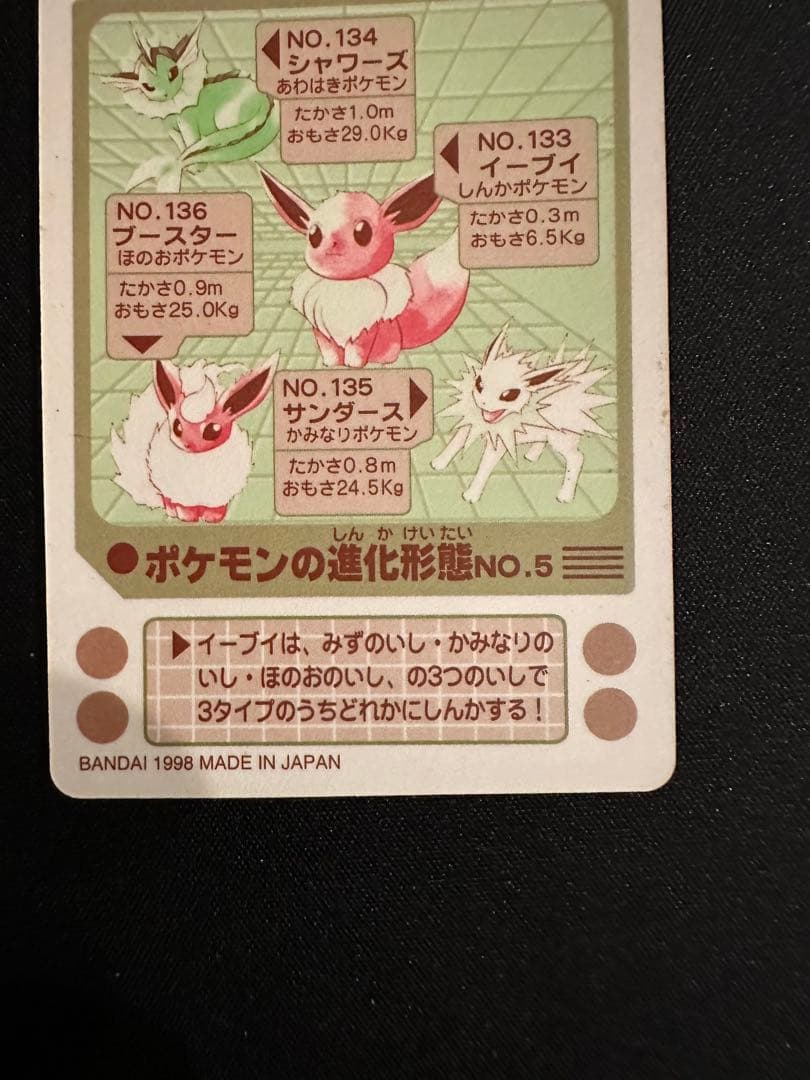 シールダス　サンダース　ブースター　イーブイ　シャワーズ