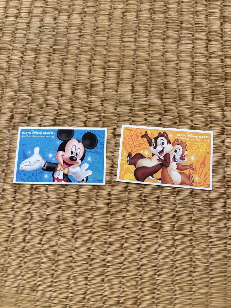 みつきちDuffy & ShellieMay ディズニーチケット