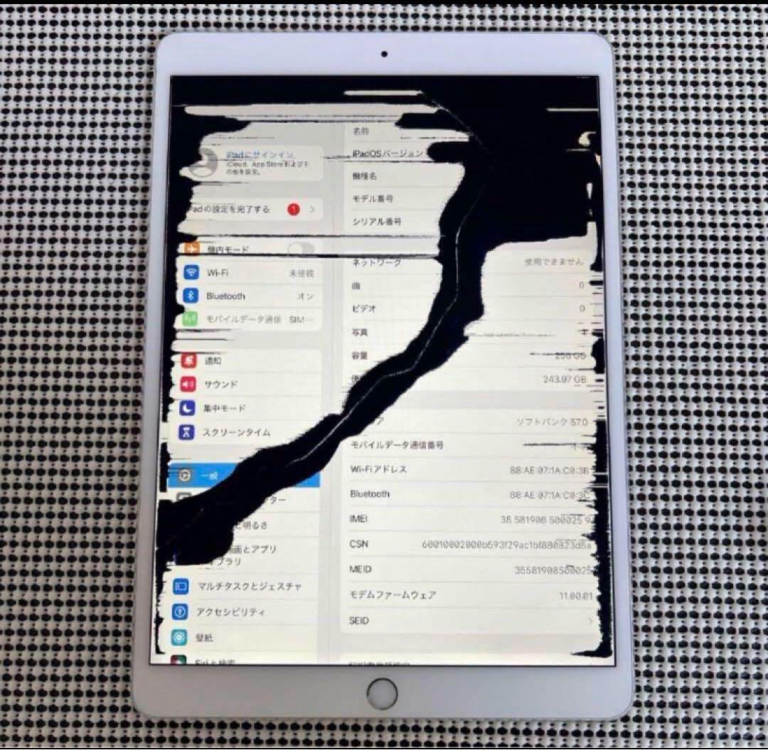589【早い者勝ち】iPad Pro 256GB 10.5インチ SIMフリー☆