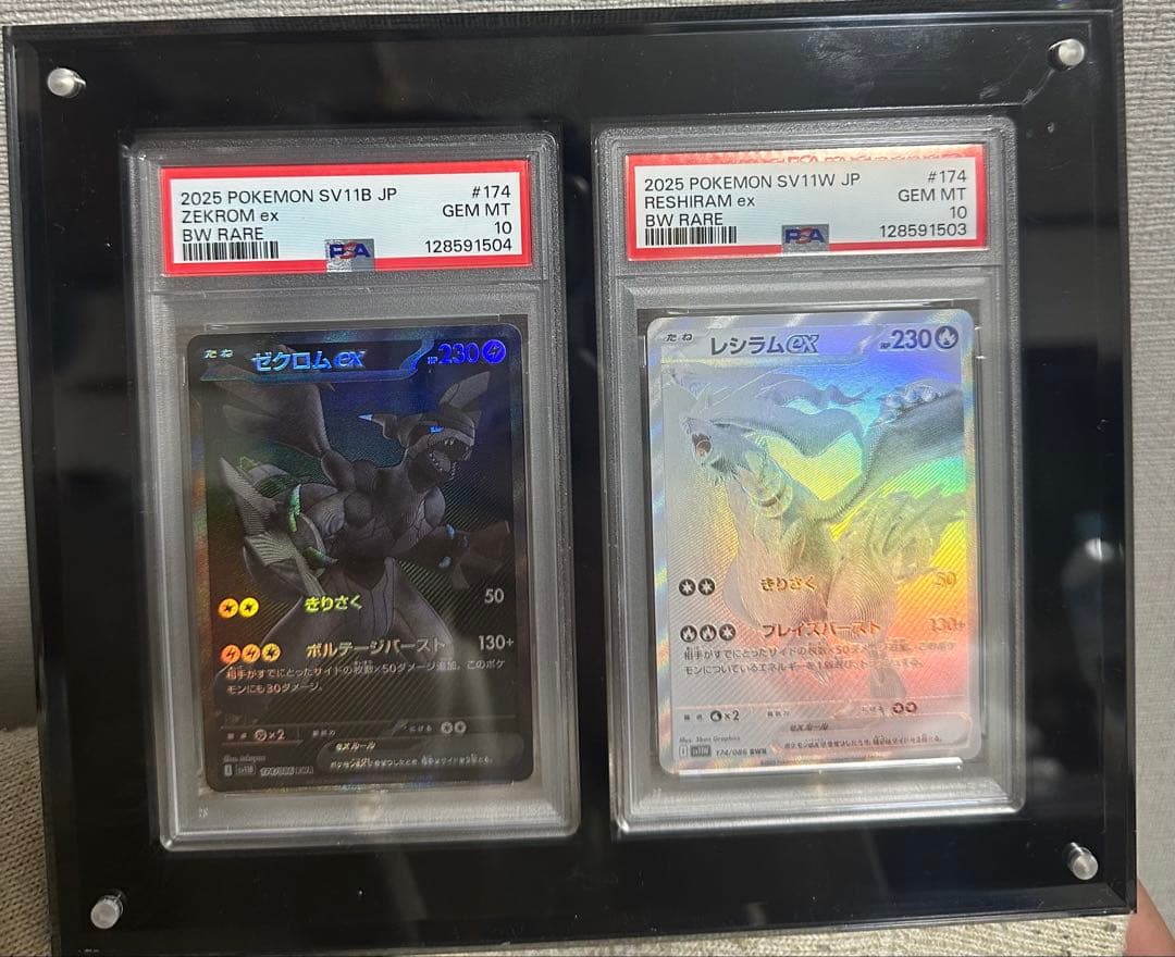 ゼクロムEX & レシラムEX PSA GEM MT 10 連番