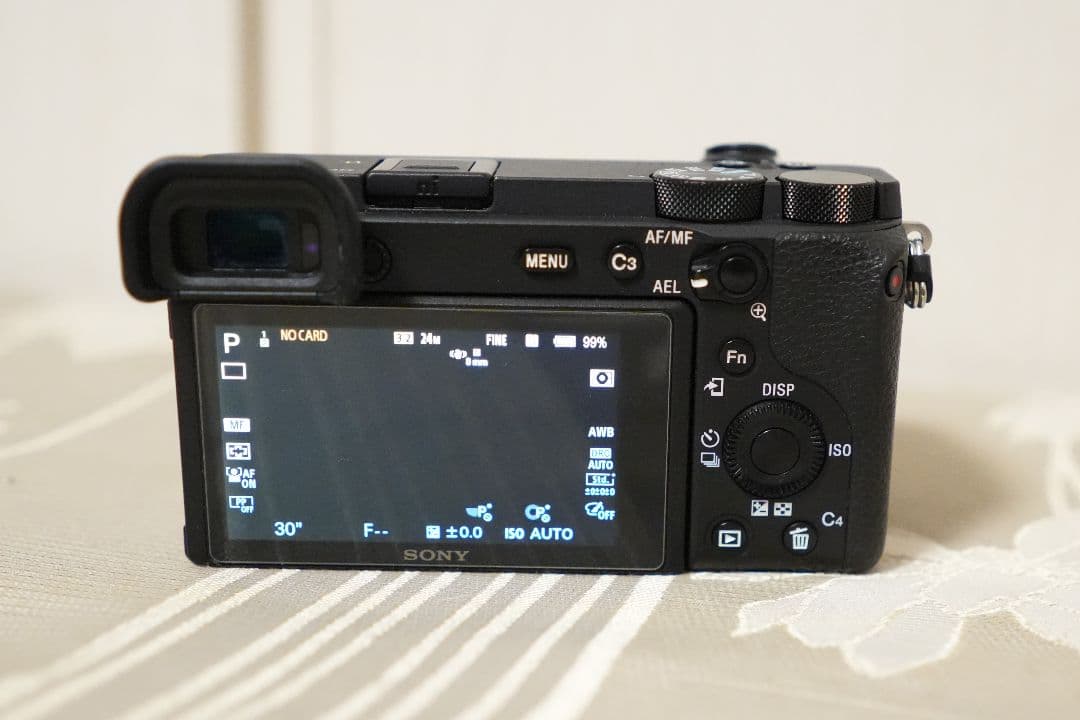 Sony α6600 ミラーレス一眼カメラ 本体 おまけ付き