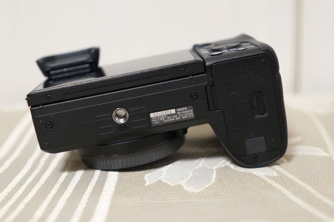 Sony α6600 ミラーレス一眼カメラ 本体 おまけ付き