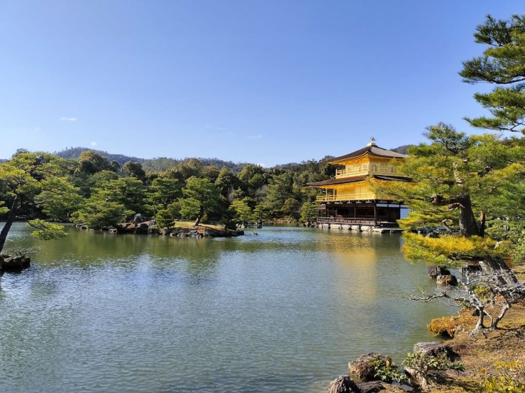 【たかぼー】2月11日テキスト出品