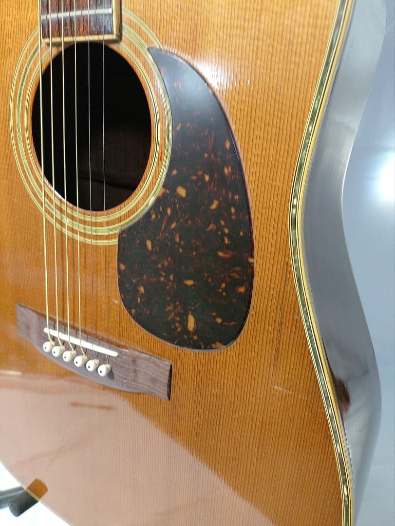 旧縦ロゴ morris 　special