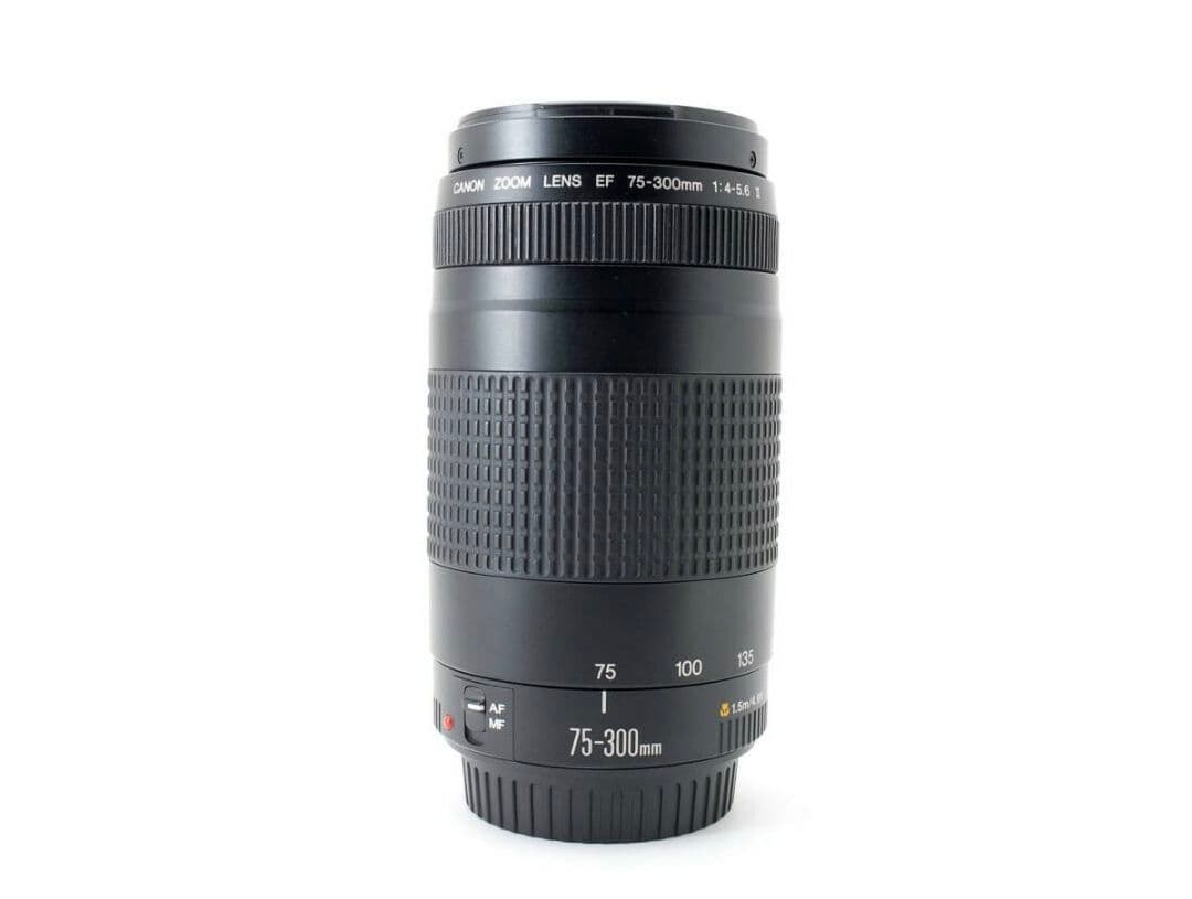 2月12日限定特価【超望遠レンズ】Canon EF 75-300mm Ⅱ