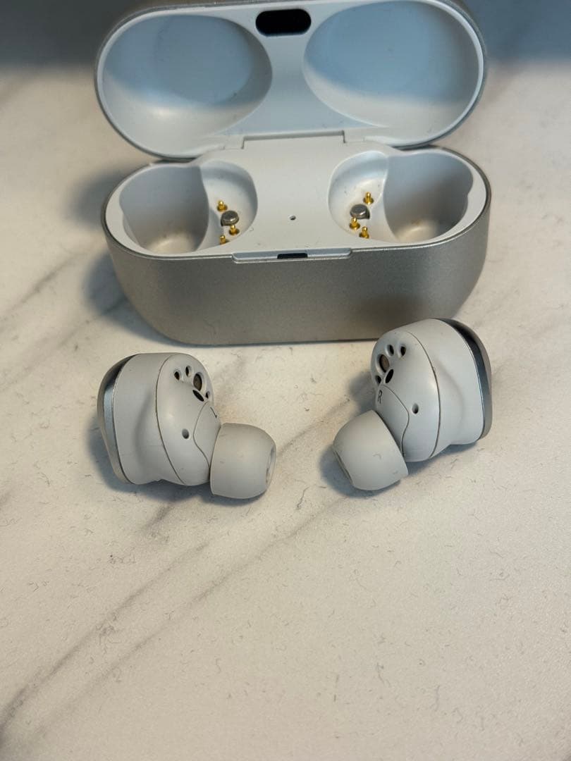 テクニクスTechnics EAH-AZ-80-S