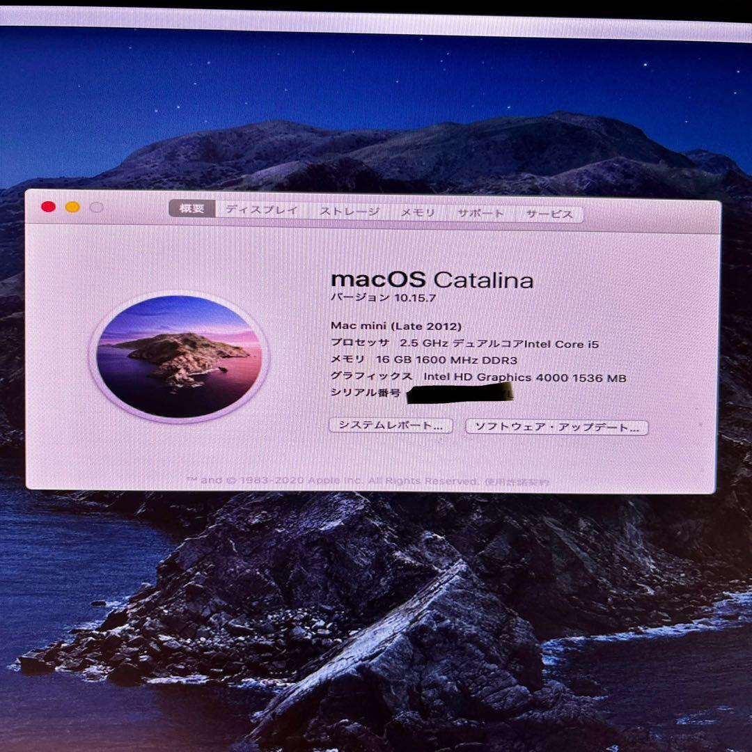 Mac mini 2012 md387j/a ssd256 メモリ16g