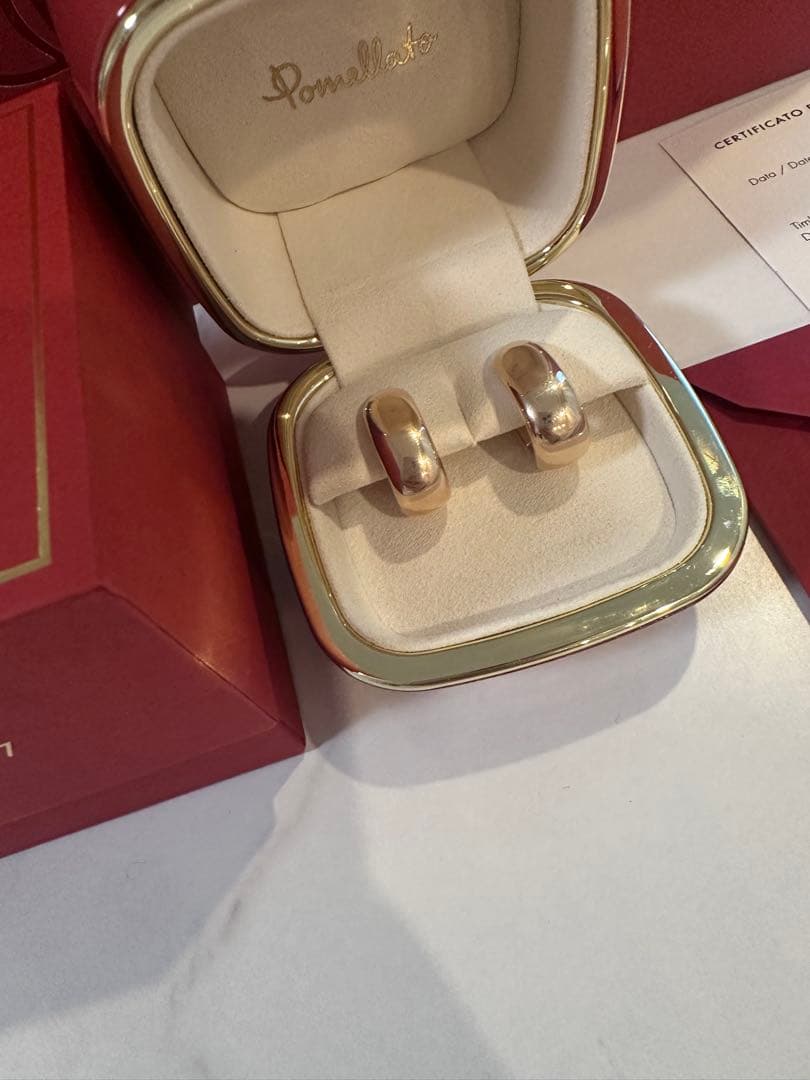 美品⭐︎ポメラート　イコニカ　イヤリングピアス