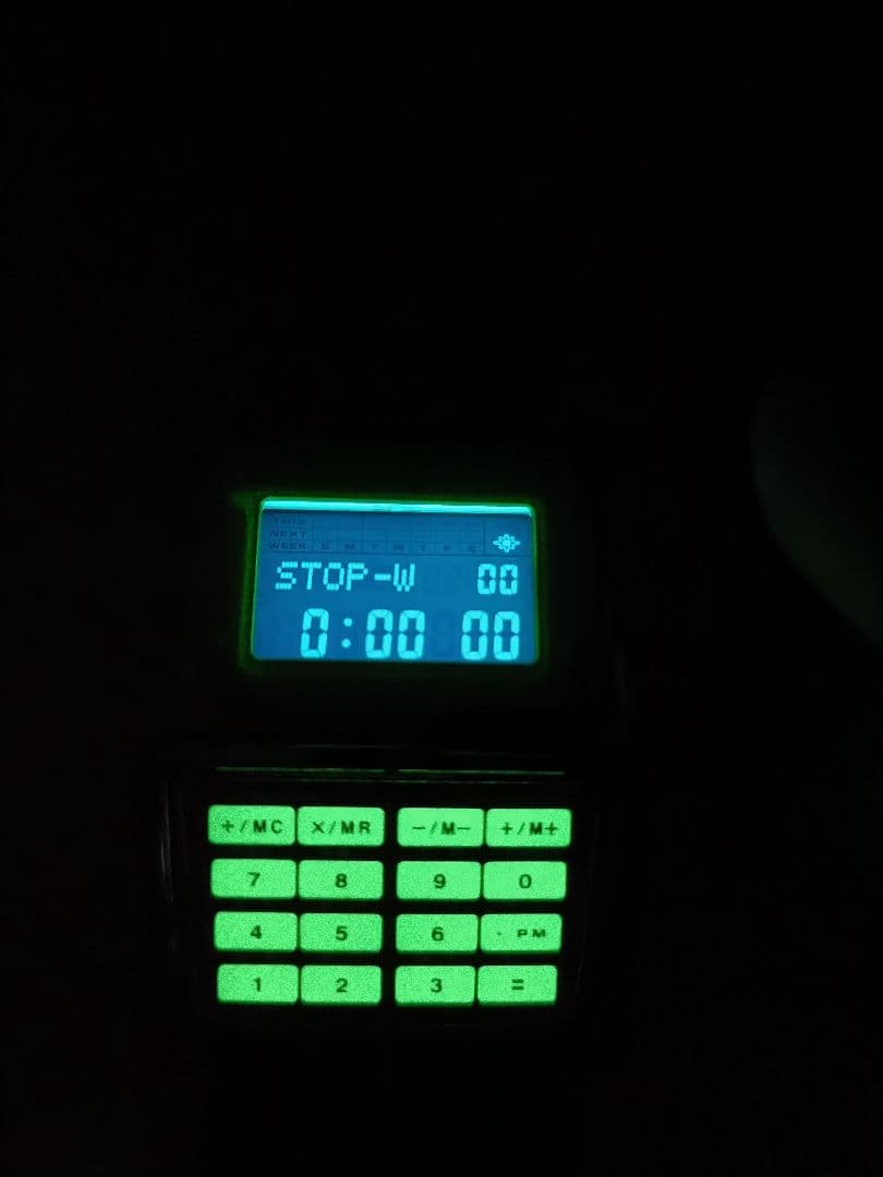 CASIO DATA BANK データバンク反転液晶　デジタル腕時計