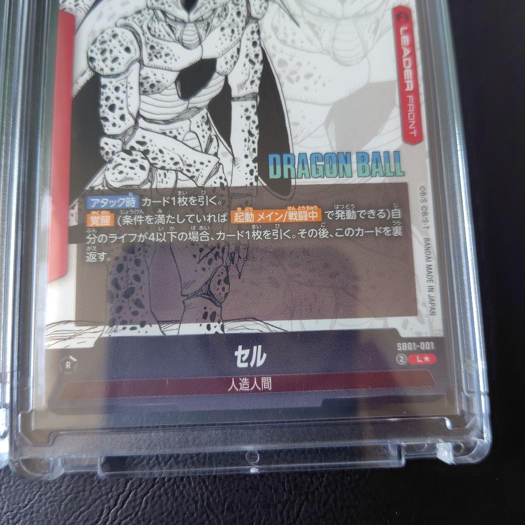 ブルマパラレル　セル リーダーパラレル