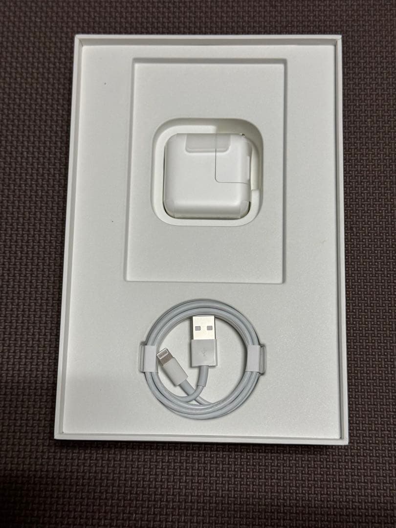 Apple iPad mini 第5世代 本体