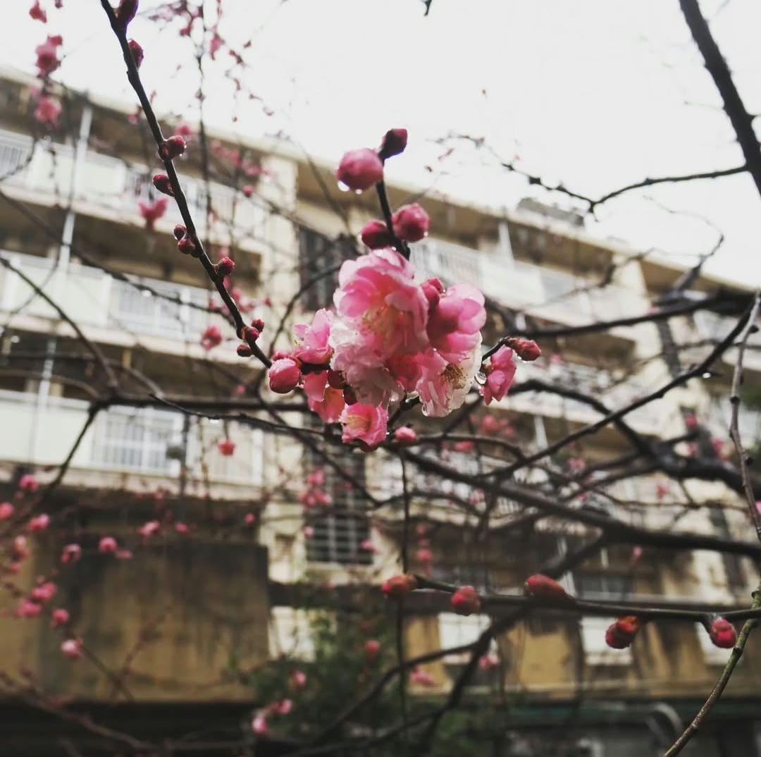 美品☆OLYMPUS PEN E-PL9 ミラーレス一眼 シルバー/ブラウン